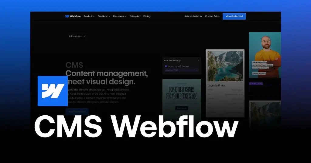webflow cms.webp