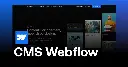 webflow cms.webp
