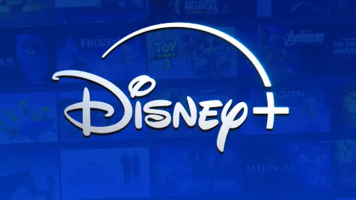 Disney Plus - 06 mois (01 profil)
